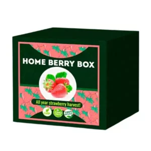 Home Berry Box ⋆ Opinie ⋆ Polska ⋆ Cena ⋆ DigitalSklep.pl